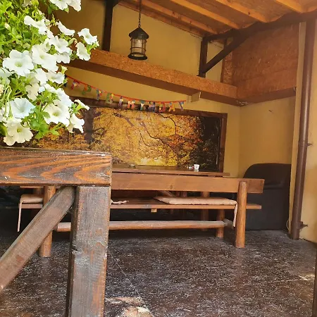 Pensiunea Casa Blaga Pensiune